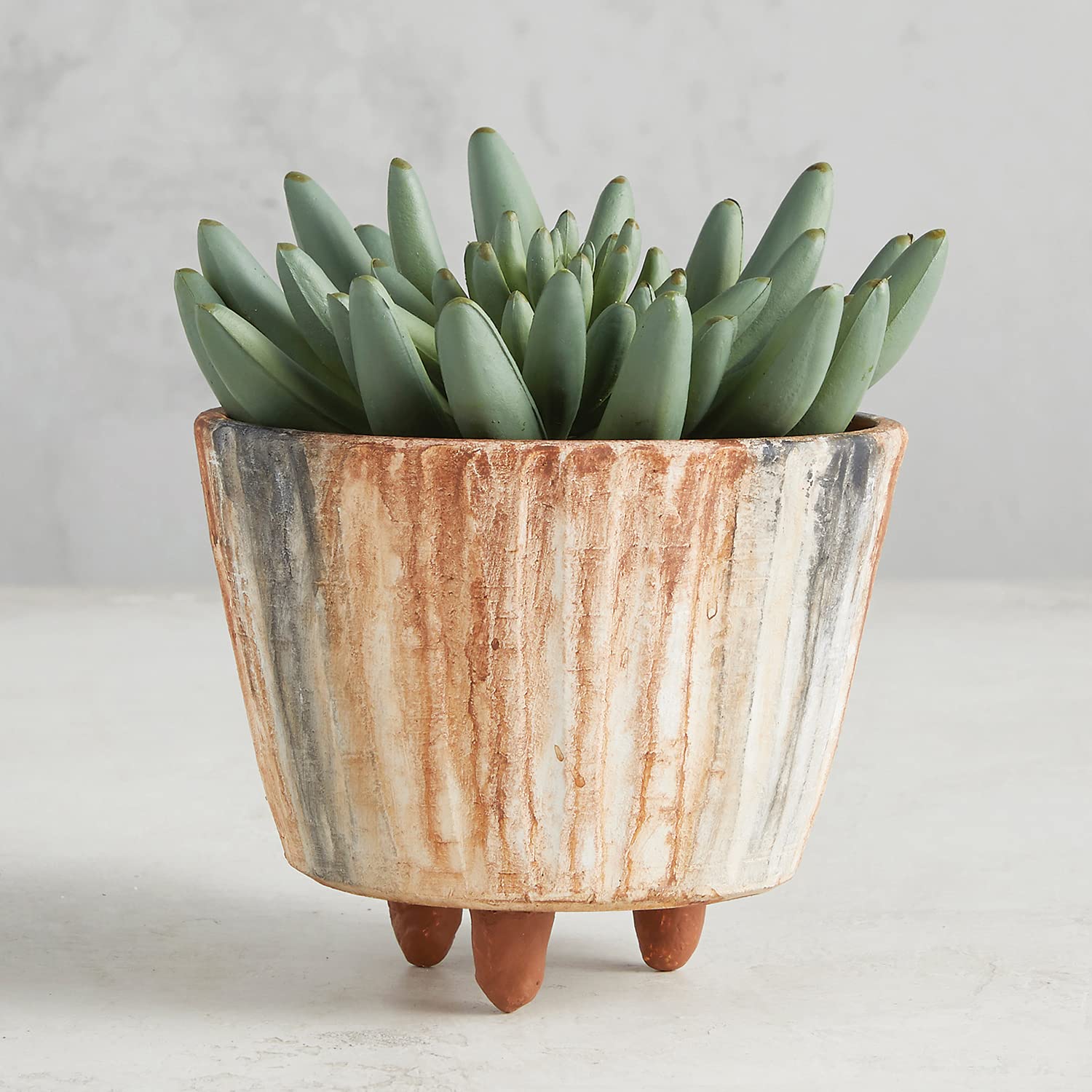 Amazon.co.jp: 47th & Main 素朴な足付きテラコッタ プランター 植木鉢